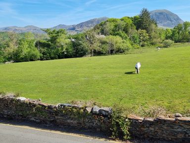 A green grassy field with two horses behind a stone wall with trees and mountains in the background at Moelwyn View Cottage in Llan Ffestiniog