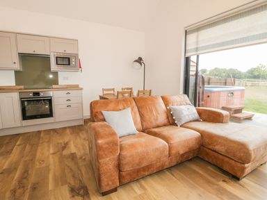 A living area with a brown leather sofa and kitchen cabinets with appliances at Swan Lodge Castle Farm in Wedmore