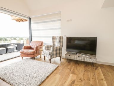 A living room with two armchairs a television on a stand and a rug on the floor at Swan Lodge Castle Farm in Wedmore