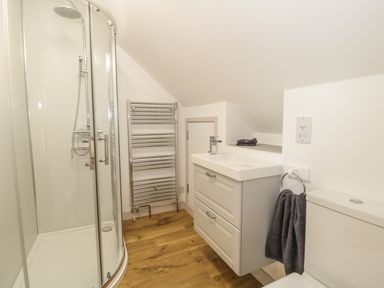 A bathroom with a corner shower enclosure a sink with a cabinet a heated towel rail and a toilet at Swan Lodge Castle Farm Wedmore