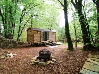 A wooden shepherds hut with stairs and glass doors in a forest clearing with a fire pit in the foreground at Rock View Shepherd's Hut Gulworthy near Tavistock
