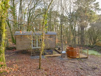 A wooden shepherd's hut in a forest clearing with a deck and outdoor hot tub at Rock View Shepherd's Hut in Gulworthy near Tavistock