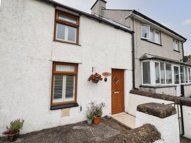 The exterior of a white house with two windows a wooden door with a hanging flower pot and potted plants at Gwenallt in Malltraeth