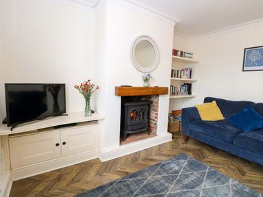 A living room with a television and fireplace at Springfield in Hempton near Fakenham