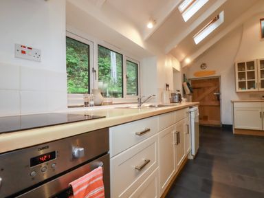 A kitchen with white cabinets a stainless steel oven a wooden door and skylight windows at Lanvean Farmhouse Lanvean near St Mawgan