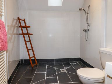 A bathroom with a showerhead a toilet a wooden ladder shelf and a pink towel at Lanvean Farmhouse in Lanvean near St Mawgan