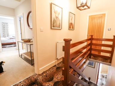 A hallway with carpeted stairs and wooden railing with animal portraits on the wall at Coed Derw Isaf in Betws-Y-Coed
