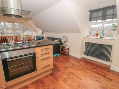A kitchen area with an oven and gas stove beside a living space with a sofa and lamp by a window at River Cottage in Morpeth