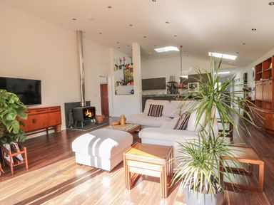 A living room with a wood stove television plants and sectional sofa at Chy Lagen Hos in Newquay