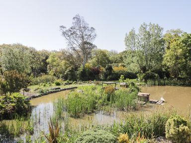 A garden pond with reeds and small wooden structures surrounded by trees and shrubs at Chy Lagen Hos in Newquay