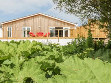 A wooden house with a balcony and red outdoor furniture surrounded by green plants at Chy Lagen Hos in Newquay