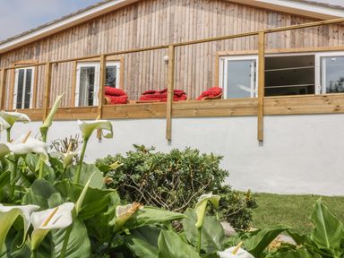 White flowers and green plants in front of a wooden house with a balcony and red chairs at Chy Lagen Hos in Newquay