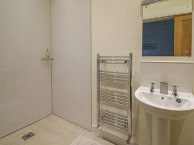 A bathroom with a shower area a sink with taps a mirror a towel radiator and a soap dispenser at The Old Carriage Court in Kidwelly