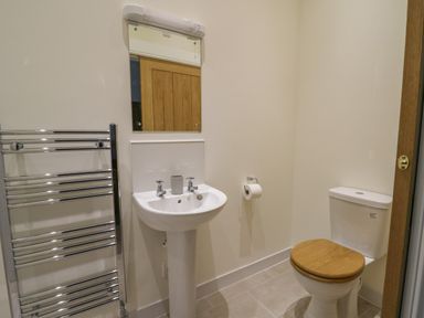 A bathroom with a pedestal sink mirror towel rack and toilet with wooden seat at The Old Carriage Court in Kidwelly