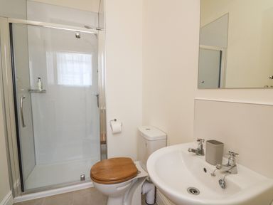 A bathroom with a shower, toilet with wooden seat, and a sink with two taps and a mirror at The Old Carriage Court in Kidwelly
