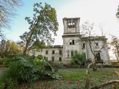 An abandoned stone building with tower surrounded by grass trees and shrubs at The Old Carriage Court in Kidwelly
