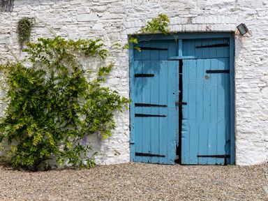 An exterior wall with a blue wooden door and green climbing plant on a gravel ground at The Old Carriage Court in Kidwelly