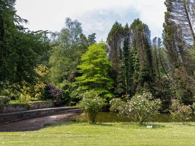 A garden with flowering bushes and trees near a pond at The Old Carriage Court in Kidwelly