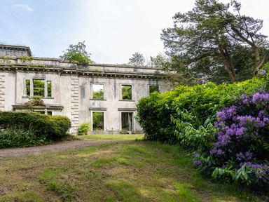 An old abandoned building with empty window frames surrounded by greenery and purple flowers at The Old Carriage Court in Kidwelly
