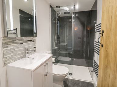 A bathroom with a white sink and cabinet a toilet and a glass enclosed shower at Cefn Nannau in Ty-nant near Cerrigydrudion