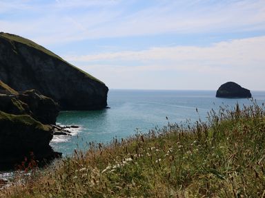 A coastal scene with grass in the foreground cliffs to the left and a rock formation in the ocean at Gull Rock in Trebarwith Strand