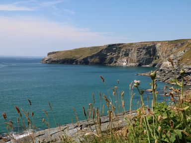 A rocky coastline with grass and flowers near the sea at Gull Rock in Trebarwith Strand