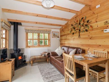 A small living and dining area with a wood stove sofa dining table and wall art at Someplace Else in Diss