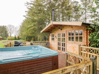 An outdoor deck with a hot tub a wooden cabin a barbecue grill and patio chairs surrounded by trees at Someplace Else in Diss