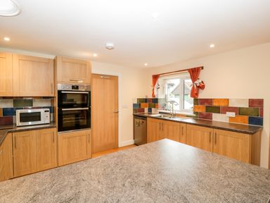 A kitchen with wooden cabinets a countertop a built in oven a microwave and a window at Vine Lodge Kingsbury Episcopi near Martock