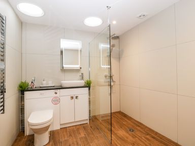 A bathroom with a toilet, a sink on a vanity unit, a mirror, and a walk-in shower at Vine Lodge in Kingsbury Episcopi near Martock