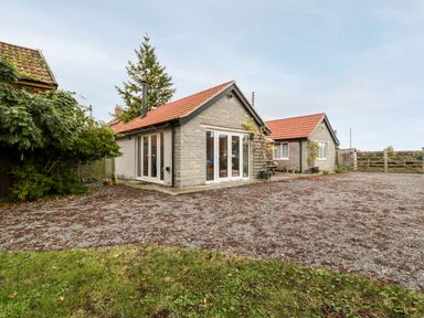 Small stone and wood buildings with red tile roofs and gravel driveway with green grass in front at Vine Lodge in Kingsbury Episcopi near Martock