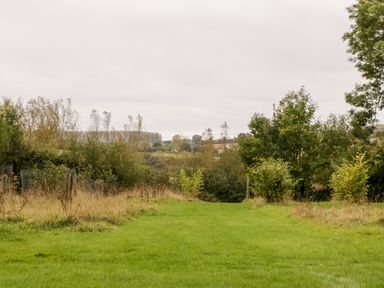 A grassy area with small trees and shrubs in a countryside setting at Vine Lodge Kingsbury Episcopi near Martock