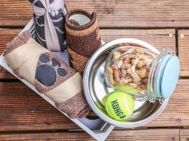 A tray with rolled towels a jar of dog treats a tennis ball and a dog bowl on wooden floor at Valley Lodge 48 in Callington