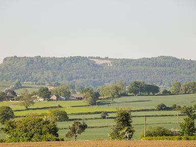 A rural landscape with green fields trees and farm buildings at Oak Lodge in Sheriff Hutton