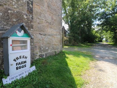 A small roadside cabinet for fresh farm eggs next to a stone barn by a gravel path with trees and grass at Edwin's View in Nancegollan nr Porthleven