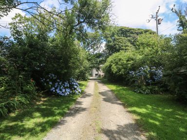 A gravel driveway with green bushes and blue flowers leading to a stone building at Edwin's View in Nancegollan nr Porthleven