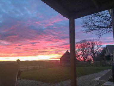 A sunset sky with pink and orange clouds over a yard with wooden structures and bare trees at Bellwether in Helmsley