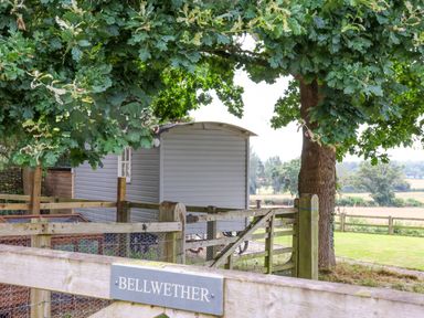 A wooden fence and gate with a Bellwether sign near a tree and a small building in a rural setting at Bellwether in Helmsley