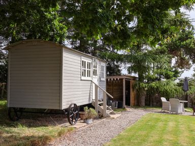 A small wheeled cabin with steps leading to a door beside a wooden shed and outdoor seating on a gravel and grass area at Bellwether in Helmsley