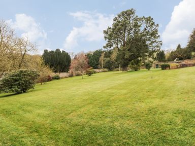 A large grassy garden with scattered trees and shrubs surrounded by a stone wall at Wood View Cottage Blackawton