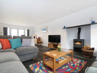 A living room with a grey sofa and colorful cushions a wooden coffee table on a multicolored rug a television on a wooden stand a wood-burning stove with a basket of firewood at Myles View in Pendeen