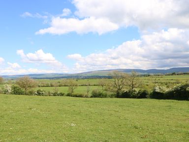 A grassy field with trees and hills in the distance under a partly cloudy sky at Apple Tree Cottage in Bleatarn near Kirkby Stephen