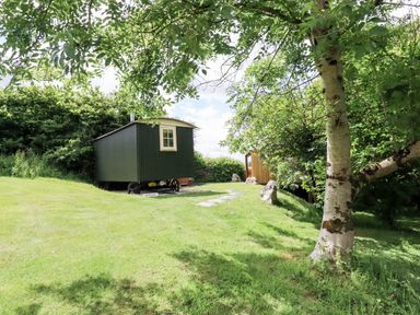 A grassy garden with a small green cabin on wheels and a wooden shed near trees at Orchard Burlawn near Wadebridge