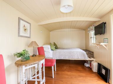 A small bedroom with a bed, red chairs, wooden table, lamp, television, and a framed picture at Orchard Burlawn near Wadebridge