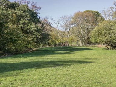 A grassy field with trees along the edges under a clear sky at Dingle Den in Craswall