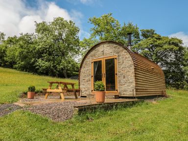 A small cabin with stone front and wooden sides with glass doors a picnic table and potted plants outside in a grassy area with trees at Dingle Den in Craswall