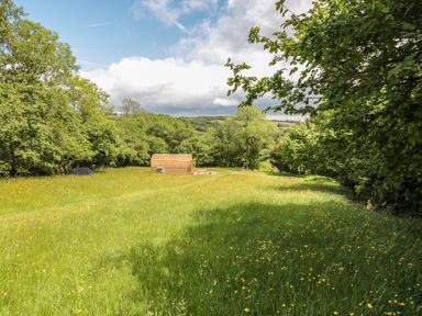 A grassy field with yellow flowers trees and a wooden cabin in the background at Dingle Den in Craswall