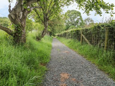 A gravel path with grass and trees on one side and a wire fence with grass on the other side at Dingle Den in Craswall