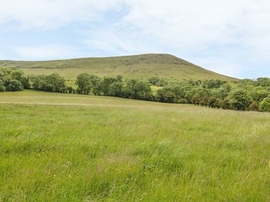A grassy field with trees and a hill in the background at Dingle Den in Craswall