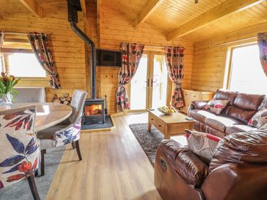 A living room with wooden walls and ceiling a wood burning stove a dining table with chairs and brown leather sofas at Manor Farm Lodges - Red Kite Lodge Newtown